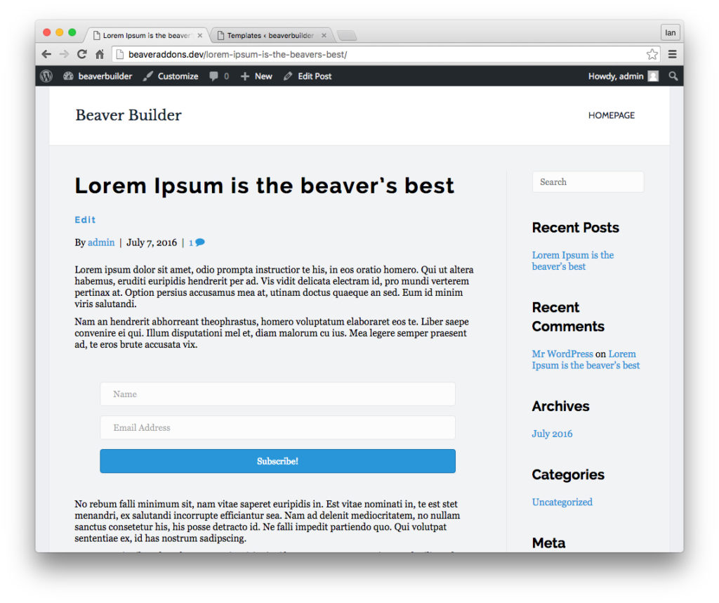 The completed post with the subscribe form displayed.