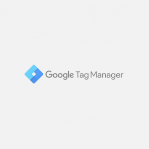 google tag manager with beaver builder
